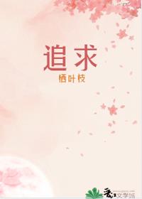 追求